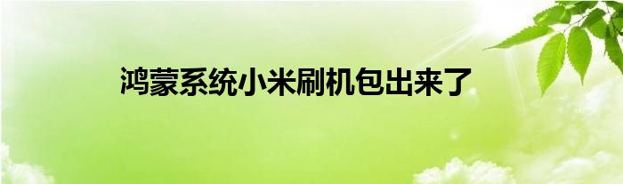 鸿蒙系统小米刷机包出来了