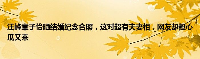 汪峰章子怡晒结婚纪念合照，这对超有夫妻相，网友却担心瓜又来