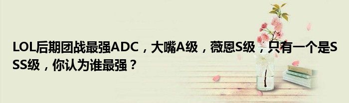 LOL后期团战最强ADC，大嘴A级，薇恩S级，只有一个是SSS级，你认为谁最强？