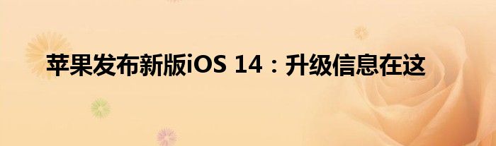 苹果发布新版iOS 14：升级信息在这