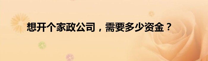 想开个家政公司，需要多少资金？