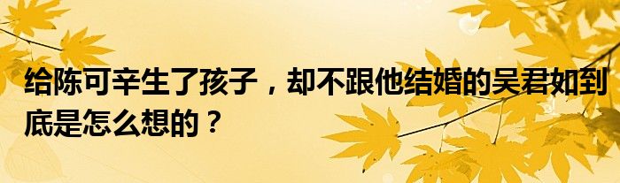 给陈可辛生了孩子，却不跟他结婚的吴君如到底是怎么想的？