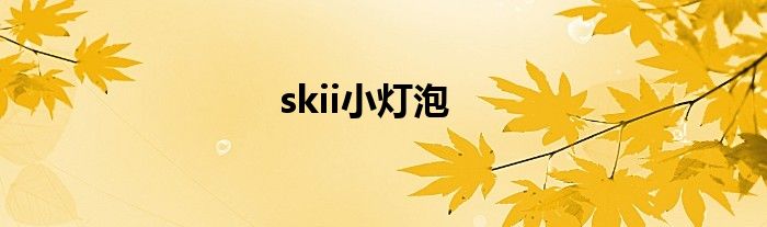 skii小灯泡