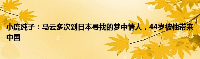 小鹿纯子：马云多次到日本寻找的梦中情人，44岁被他带来中国