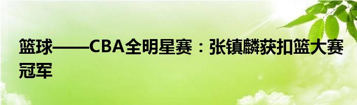 篮球——CBA全明星赛：张镇麟获扣篮大赛冠军