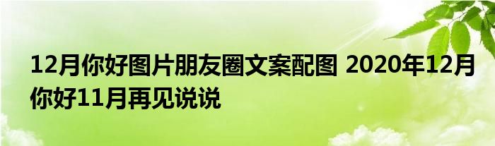 12月你好图片朋友圈文案配图 2020年12月你好11月再见说说