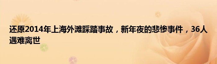 还原2014年上海外滩踩踏事故，新年夜的悲惨事件，36人遇难离世