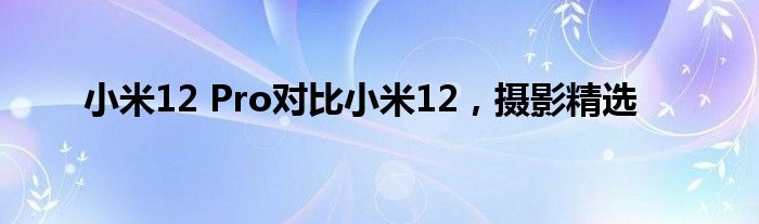 小米12 Pro对比小米12，摄影精选