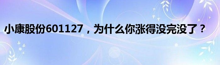 小康股份601127，为什么你涨得没完没了？