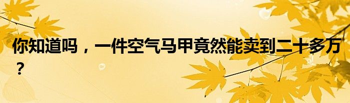 你知道吗，一件空气马甲竟然能卖到二十多万？