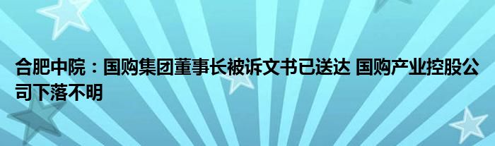 合肥中院：国购集团董事长被诉文书已送达 国购产业控股公司下落不明