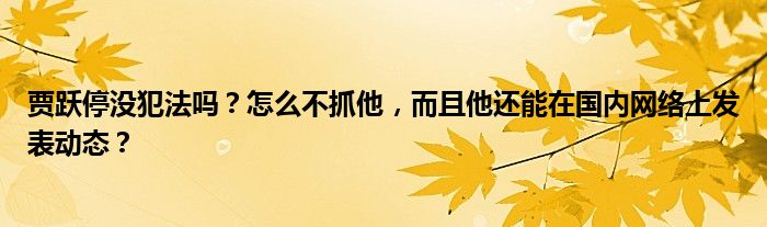 贾跃停没犯法吗？怎么不抓他，而且他还能在国内网络上发表动态？