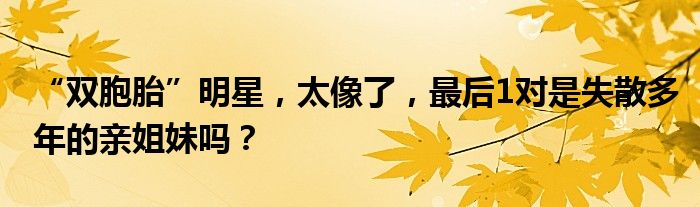 “双胞胎”明星，太像了，最后1对是失散多年的亲姐妹吗？