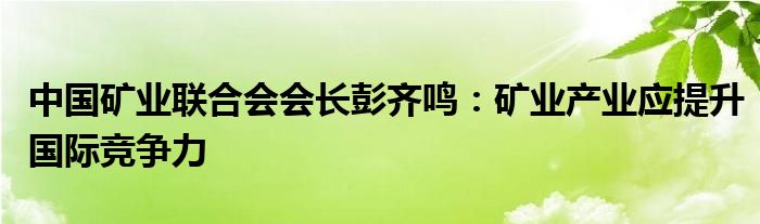 中国矿业联合会会长彭齐鸣：矿业产业应提升国际竞争力