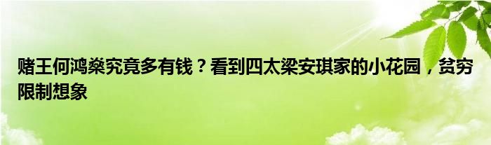 赌王何鸿燊究竟多有钱？看到四太梁安琪家的小花园，贫穷限制想象