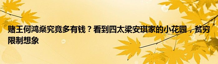 赌王何鸿燊究竟多有钱？看到四太梁安琪家的小花园，贫穷限制想象