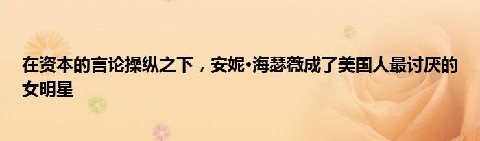 在资本的言论操纵之下，安妮·海瑟薇成了美国人最讨厌的女明星