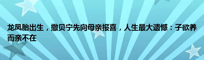 龙凤胎出生，撒贝宁先向母亲报喜，人生最大遗憾：子欲养而亲不在