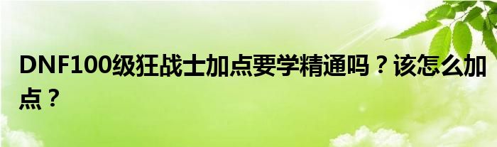 DNF100级狂战士加点要学精通吗？该怎么加点？