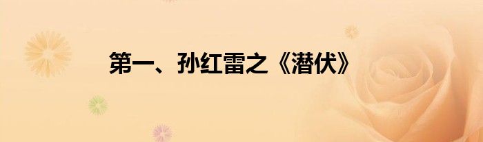 第一、孙红雷之《潜伏》