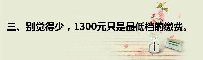 三、别觉得少，1300元只是最低档的缴费。