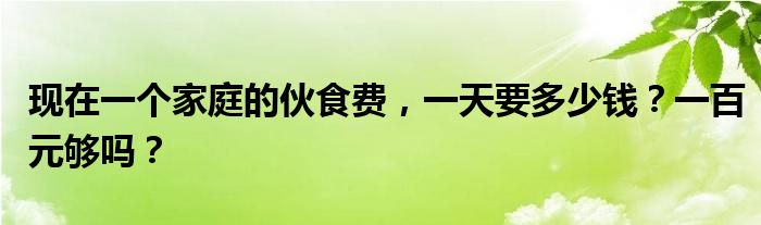 现在一个家庭的伙食费，一天要多少钱？一百元够吗？