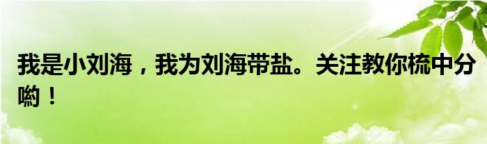 我是小刘海，我为刘海带盐。关注教你梳中分喲！