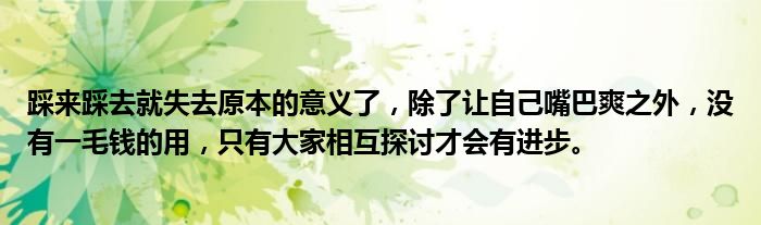 踩来踩去就失去原本的意义了，除了让自己嘴巴爽之外，没有一毛钱的用，只有大家相互探讨才会有进步。