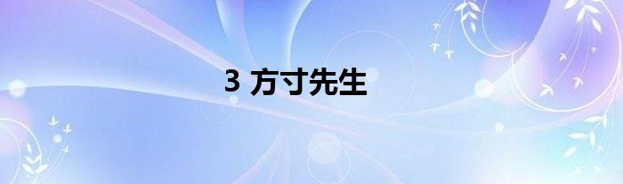 3 方寸先生