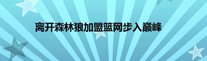 离开森林狼加盟篮网步入巅峰