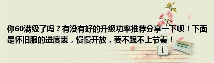 你60满级了吗？有没有好的升级功率推荐分享一下呗！下面是怀旧服的进度表，慢慢开放，要不跟不上节奏！