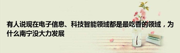 有人说现在电子信息、科技智能领域都是最吃香的领域，为什么南宁没大力发展