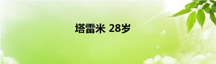 塔雷米 28岁