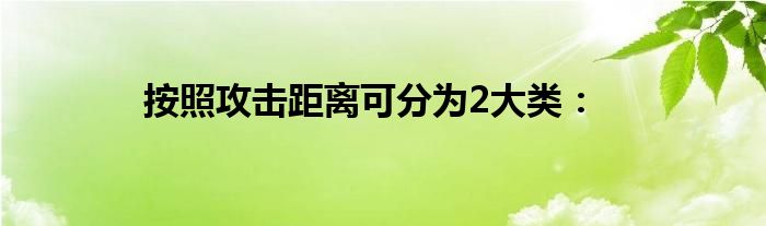 按照攻击距离可分为2大类：