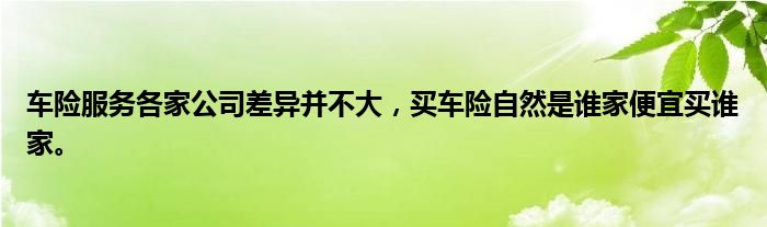 车险服务各家公司差异并不大，买车险自然是谁家便宜买谁家。