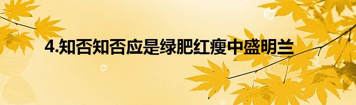 4.知否知否应是绿肥红瘦中盛明兰