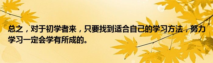 总之，对于初学者来，只要找到适合自己的学习方法，努力学习一定会学有所成的。