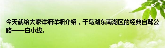 今天就给大家详细详细介绍，千岛湖东南湖区的经典自驾公路——白小线。