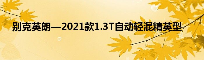 别克英朗—2021款1.3T自动轻混精英型