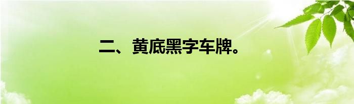 二、黄底黑字车牌。