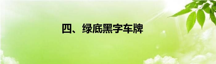 四、绿底黑字车牌