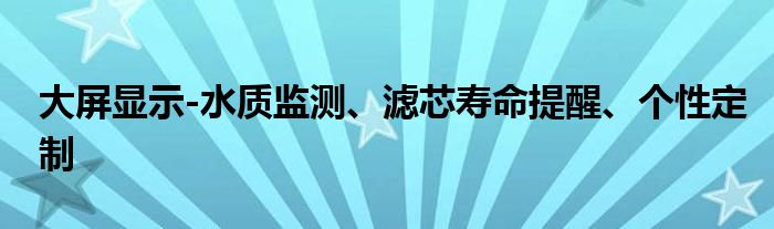 大屏显示-水质监测、滤芯寿命提醒、个性定制