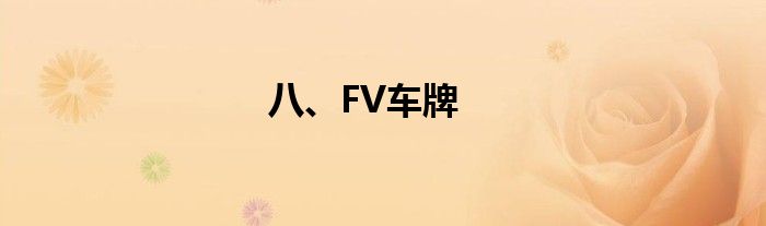 八、FV车牌