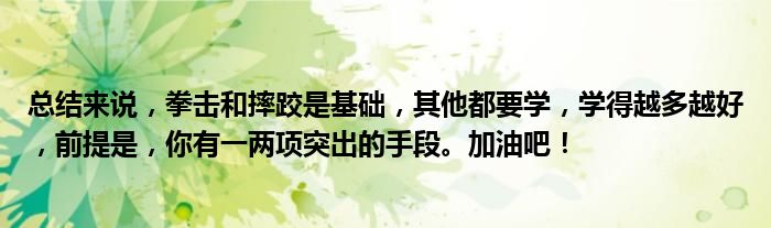 总结来说，拳击和摔跤是基础，其他都要学，学得越多越好，前提是，你有一两项突出的手段。加油吧！