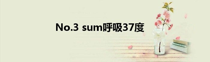 No.3 sum呼吸37度