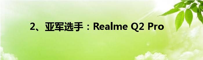 2、亚军选手：Realme Q2 Pro