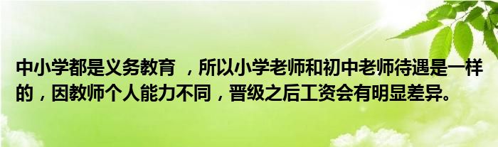 中小学都是义务教育 ，所以小学老师和初中老师待遇是一样的，因教师个人能力不同，晋级之后工资会有明显差异。