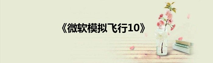 《微软模拟飞行10》