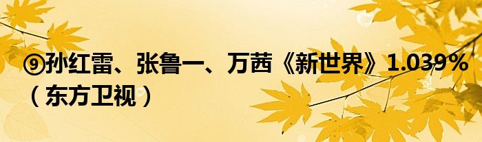 ⑨孙红雷、张鲁一、万茜《新世界》1.039%（东方卫视）