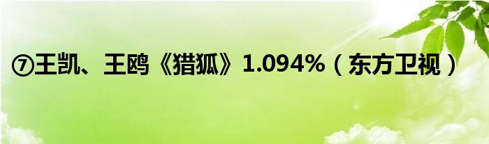 ⑦王凯、王鸥《猎狐》1.094%（东方卫视）